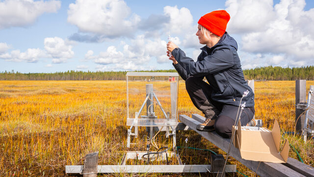 Scientist working at a wetland monitoring station
