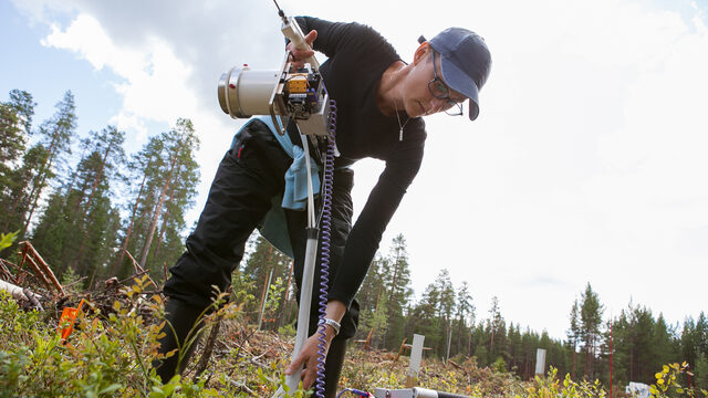 Scientist using field monitoring equipment